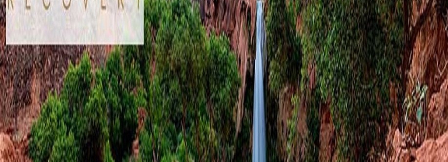 Desert Cove Recovery Cover Image